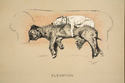 Elevation, 1930, 1e editie van 
